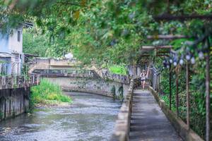 BIB: 
                            <button type="button" onclick="openModal(21898090)" class="btn btn-primary btn-sm float-right btn-popup" data-toggle="modal" data-target=".modal-high-quality">
                        <i class="fas fa-shopping-cart"></i> Add to Cart
                    </button>
                                            <button type="button" onclick="isThisMe(21898090, true)" class="btn btn-success btn-sm float-right btn-popup btn-isme hidden" data-toggle="tooltip" data-placement="bottom" title="นี่คือรูปของคุณใช่ไหม คลิกที่นี่เพื่อเอาเข้าอัลบั้ม">
                        <i class="fas fa-plus"></i> Add to album
                    </button>
                    <button type="button" onclick="isThisMe(21898090, false)" class="btn btn-warning btn-sm float-right btn-popup btn-isnotme hidden">
                        <i class="fas fa-ban"></i> Remove from album
                    </button>